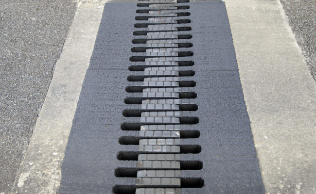 Boss Polymer expansion joint